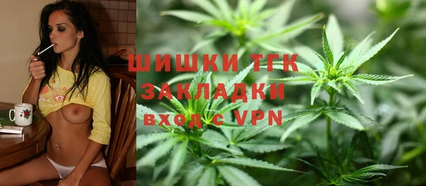 шишки Алзамай