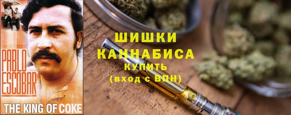 шишки Алзамай