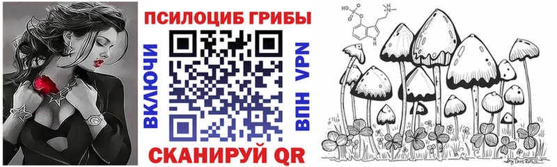 купить наркотик  маркетплейс клад  Галлюциногенные грибы прущие грибы  Йошкар-Ола 