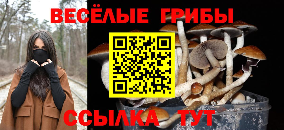 что такое наркотик  Псилоцибиновые грибы Cubensis  Вход с VPN  Йошкар-Ола 