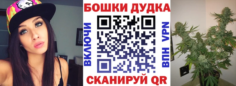 Бошки Шишки планчик  Йошкар-Ола 